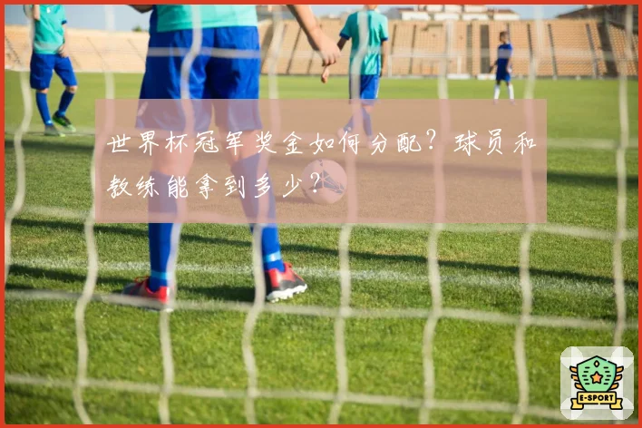 世界杯冠军奖金如何分配？球员和教练能拿到多少？