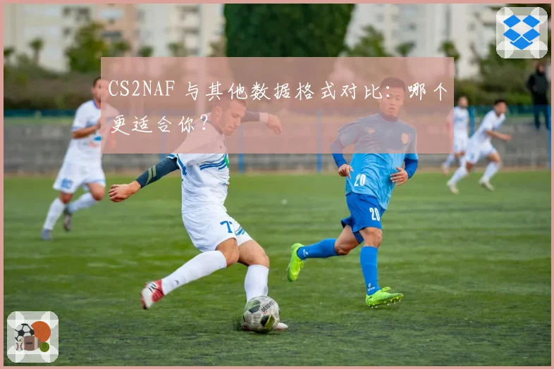 CS2NAF 与其他数据格式对比:哪个更适合你?