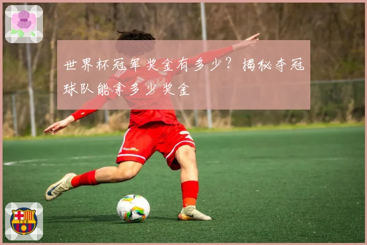 世界杯冠军奖金有多少？揭秘夺冠球队能拿多少奖金