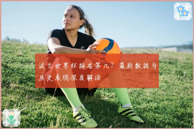 波兰世界杯排名第几?最新数据与历史表现深度解读