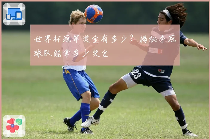 世界杯冠军奖金有多少?揭秘夺冠球队能拿多少奖金