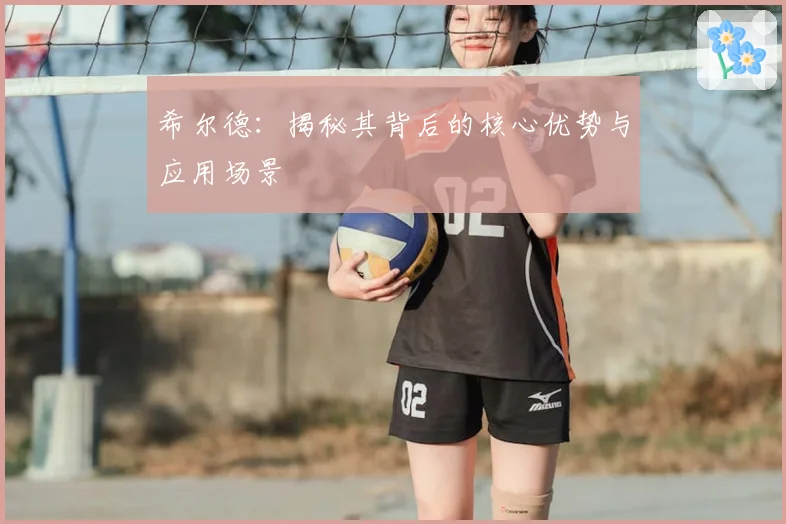 希尔德：揭秘其背后的核心优势与应用场景